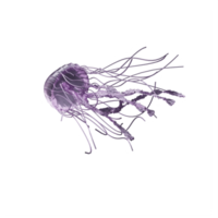 3d medusa isolado png
