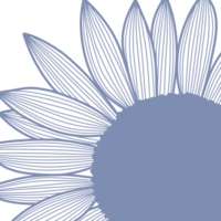 Macro Flowers line art png