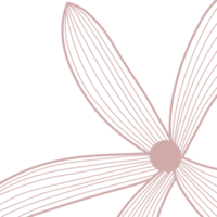 Macro Flowers line art png