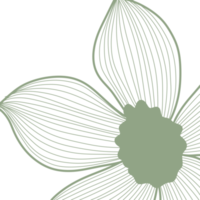makro blommor linje konst png