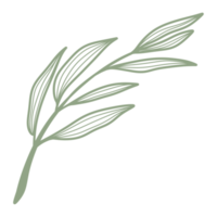 Line Art Leaf png