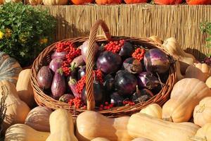 Organic pumpkin and vegetable in rattan basket on agricultural fair. Harvesting autumn time concept. Garden fall natural plant. Thanksgiving halloween decor. Festive farm rural background. Vegan food. photo