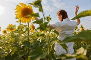 mujer con coletas en un campo con floreciente girasoles campo foto