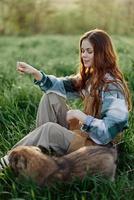 Happy woman sitting in nature and playing with her pet in the park sitting on the green grass photo