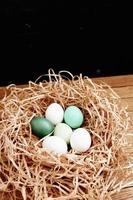 Pascua de Resurrección huevos en el nido decoración festivo tradiciones oscuro antecedentes foto