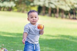 Little child boy with apple fruit in the park, Adorable toddler holding red apple looking to the camera photo
