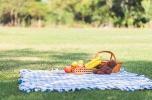 picnic cesta con Fruta y muñeca en azul paño en el jardín foto