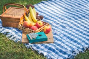 Kalimba con Fruta picnic cesta y muñeca en azul paño en el jardín foto