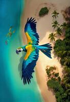 highly defined detailed Macaw flying over a tropical beach photo