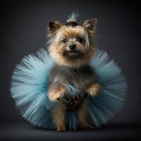 A cute dog dressed up in a tutu image photo