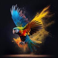 a flying ara parrot over colourful powder explosion in black background photo