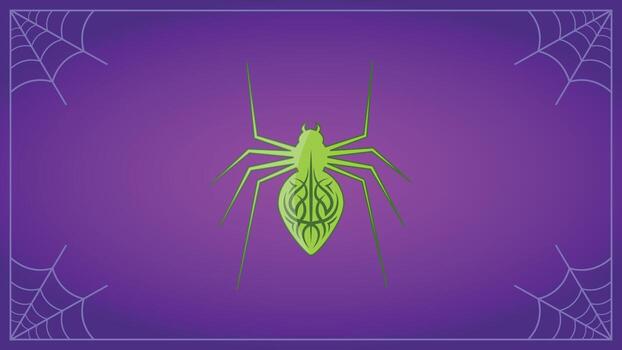 A spider  with a pattern on its abdomen.  Halloween pattern  with spider web on purple background. vector