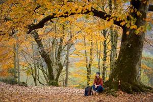 woman hiker with backpack sits under a tree in autumn forest fallen leaves landscape photo