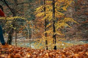 woman in a sweater and jeans and boots in autumn in a park in nature near the river photo