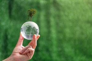 cerca arriba de mano participación cristal globo con árbol en verde difuminar naturaleza fondo, tierra día o mundo ambiente día concepto. verde mundo y sostenible conservación de bosque recursos. foto