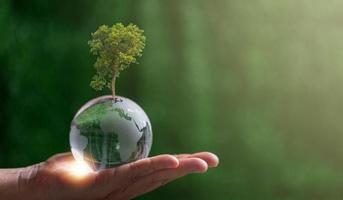 Close up of hand holding crystal globe with tree on green blur nature background, earth day or world environment day concept. Green world and sustainable conservation of forest resources. photo