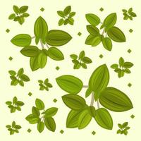 Oregano vector illustration for graphic design and decorative element