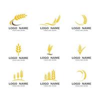 Wheat Logo template vector illustration design