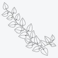 Floral ivy drawing decorative ornament flat design. vector