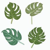 Simplicity monstera leaf freehand continuous line drawing flat design. vector