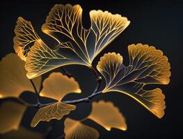 Ginkgo biloba golden leaves Dark background created with technology photo