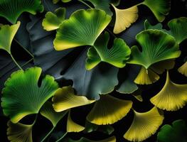 Ginkgo biloba green leaves background created with technology photo