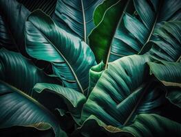 resumen verde tropical plátano y monstera hojas antecedentes creado con generativo ai tecnología foto