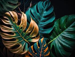 Abstract green Tropical Banana and Monstera Leaves background created with technology photo