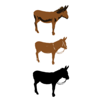 gráficos de Burro mula aislado en blanco antecedentes png