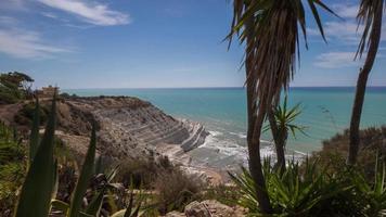 timelapse in sicily of cactus and wild shrubs with the mediterranean sea in the background video