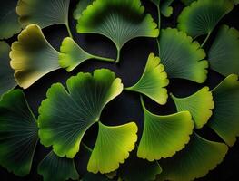 Ginkgo biloba green leaves background created with technology photo