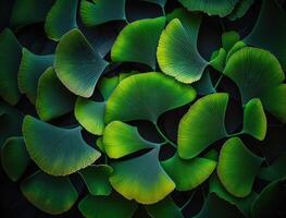 Ginkgo biloba green leaves background created with technology photo