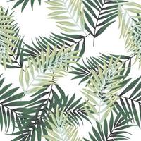 resumen exótico planta sin costura modelo. tropical palma hojas modelo. helecho hoja fondo de pantalla. botánico textura. floral antecedentes. vector