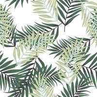 Abstract exotic plant seamless pattern. Tropical palm leaves pattern. Fern leaf wallpaper. Botanical texture. Floral background. vector