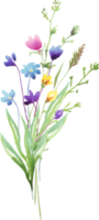 flor silvestre ramo. acuarela clipart png