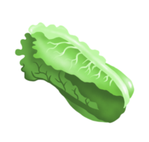 lechuga. vegetal. digital ilustración png