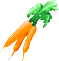 Carrot. Vegetable. Digital illustration png