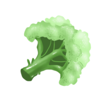 brócoli. vegetal. digital ilustración png