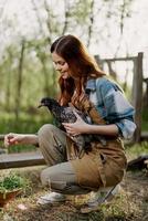 un mujer con un sonrisa toma cuidado de el salud de un pollo y sostiene un pollo en su manos mientras trabajando en un granja en naturaleza alimentación el aves orgánico comida foto