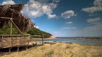 a lindo limão de praia cena dentro mljet ilha, Croácia com deslumbrante cristal Claro água do a adriático mar video
