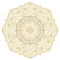 main tiré circulaire floral mandala modèle pour henné, Mehndi, tatouage, décoration. décoratif ornement dans ethnique Oriental style. contour griffonnage main dessiner anti stress png