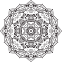 main tiré circulaire floral mandala modèle pour henné, Mehndi, tatouage, décoration. décoratif ornement dans ethnique Oriental style. contour griffonnage main dessiner anti stress png