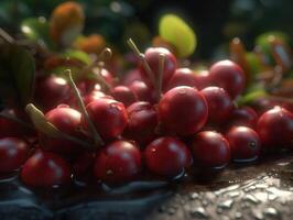 Beautiful organic background of freshly picked cranberry created with technology photo