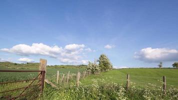 bellissimo inglese campagna scenario su un' dell'estate pomeriggio video