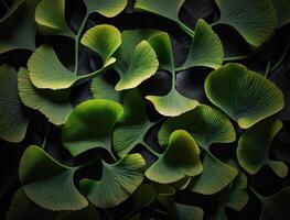 Ginkgo biloba green leaves background created with technology photo