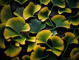 Ginkgo biloba green leaves background created with technology photo