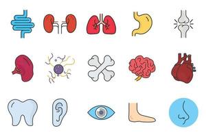 Human organs icon set illustration. Intestines, kidneys, lungs, stomach, joints, spleen, brain, liver, nose and others. Flat line icon style, lineal color. Simple vector design editable