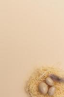 Easter eggs and feather in a nest on beige Background. Minimal creative layout with copy space. Top view. Flat lay. photo