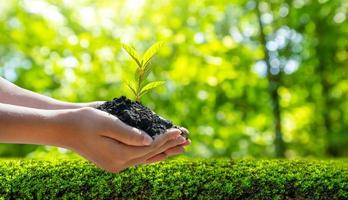 Concept Save the world save environment The world is in the grass of the green bokeh background photo