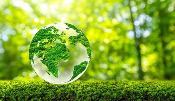 Concept Save the world save environment The world is in the grass of the green bokeh background photo